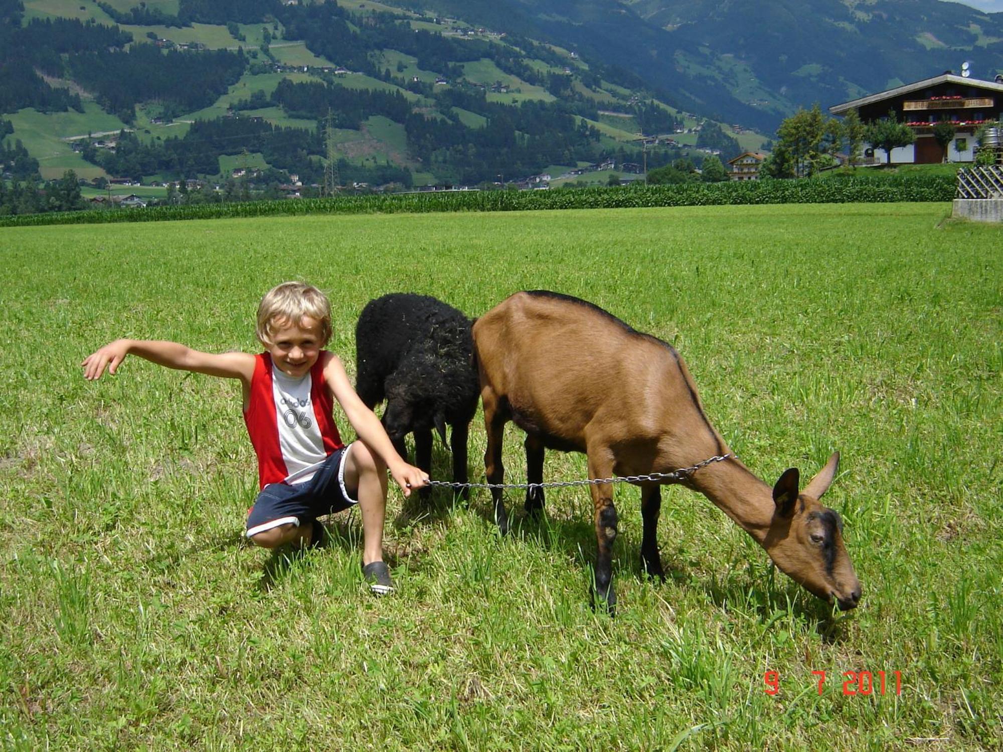 Larchergut Mayrhofen Buitenkant foto