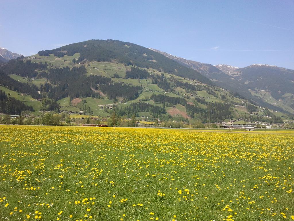 Larchergut Mayrhofen Buitenkant foto